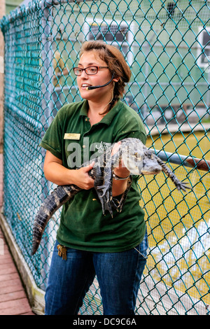 Gestore di animali a Sarasota Jungle Gardens maniglie e parla di una florida coccodrillo nella parte anteriore dei visitatori Foto Stock