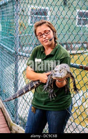 Gestore di animali a Sarasota Jungle Gardens maniglie e parla di una florida coccodrillo nella parte anteriore dei visitatori Foto Stock