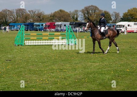 Femmina cavaliere a cavallo presso il Suffolk Horse Show Jumping concorrenza. Ipswich Showgrounds, Suffolk, Regno Unito. Foto Stock