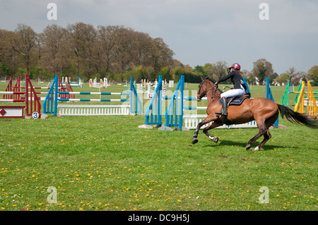 Pilota femmina prima di saltare oltre la barriera in corrispondenza del Suffolk Horse Show Jumping concorrenza. Ipswich Showgrounds, Suffolk, Regno Unito. Foto Stock