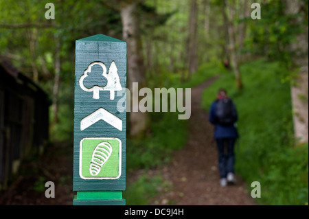 Un viandante passa una commissione forestale waymarker sul Inverfarigaig sentiero forestale vicino a Inverness Scozia Scotland Foto Stock