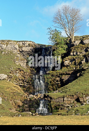 Cascata sulla mucca vicino, Cray, Yorkshire Dales, North Yorkshire, Inghilterra, Regno Unito, Gran Bretagna, Europa occidentale. Foto Stock