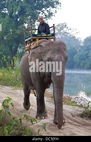 Mahout e elefante, Bardia National Park, il Nepal Foto Stock