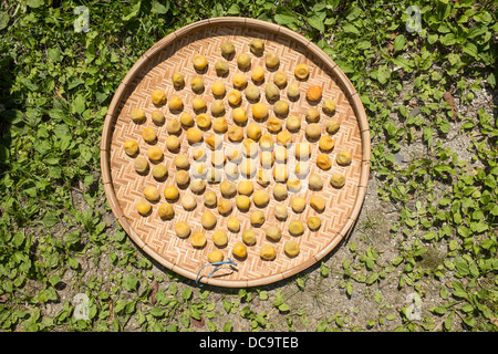 Umeboshi essiccate al sole ume frutto Giappone Foto Stock