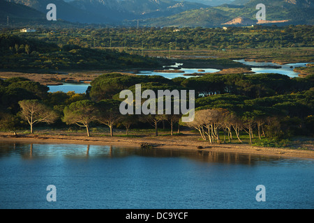 Avvicinando la prot di Olbia con il traghetto, vista della spiaggia con alberi Foto Stock