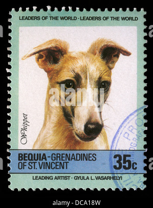 Timbro stampato in Grenadine di San Vincenzo mostra Whippet cane, circa 1985 Foto Stock