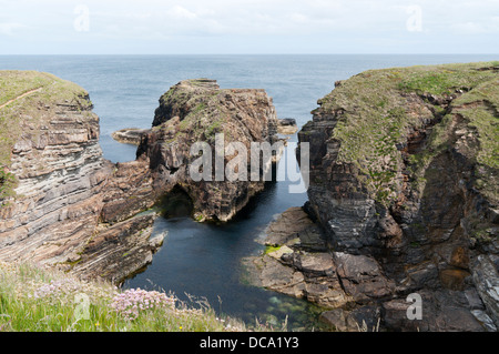 Scogliere rocciose a Mull testa sulla penisola di Deerness, Continentale, Orkney. Foto Stock