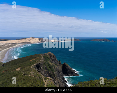 Dh Cape Maria van Diemen Cape Reinga NUOVA ZELANDA Cliff tops sentiero costiero e dune di sabbia fine campo Foto Stock