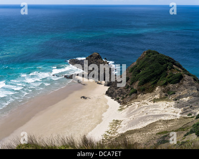 Dh Te Rerngawairua Cape Reinga NUOVA ZELANDA prevalentemente la parte nord della penisola Aupouri Foto Stock