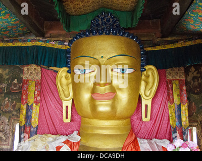 Grande Buddha Sakyamuni la statua in rame dorato ha sancito la Shey Gompa Foto Stock