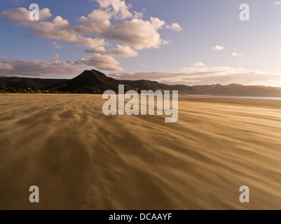 Dh Ninety Mile Beach AHIPARA NUOVA ZELANDA vento che soffia la tempesta di sabbia sulla spiaggia al tramonto di sera Foto Stock