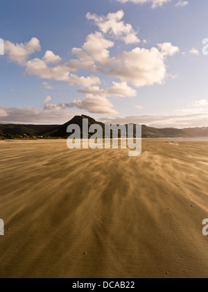 Dh Ninety Mile Beach AHIPARA NUOVA ZELANDA vento che soffia la tempesta di sabbia sulla spiaggia al tramonto di sera Foto Stock