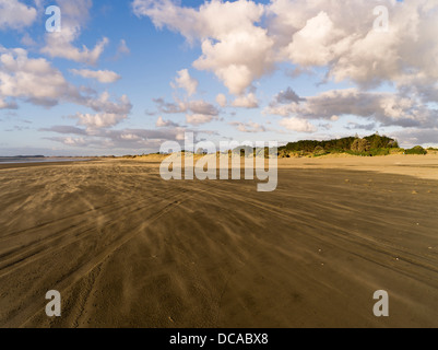 dh Ninety Mile Beach AHIPARA NEW ZEALAND Wind soffiando sabbia tempesta spiaggia dune auto pneumatici contrassegni strada costiera 90 Foto Stock