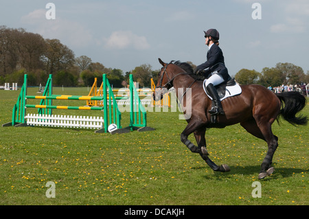 Cavaliere a cavallo durante il salto della concorrenza a Suffolk Horse Show. Ipswich Showgrounds, Suffolk, Regno Unito. Foto Stock