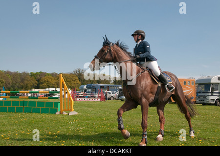 Cavaliere a cavallo durante il salto della concorrenza a Suffolk Horse Show. Ipswich Showgrounds, Suffolk, Regno Unito. Foto Stock