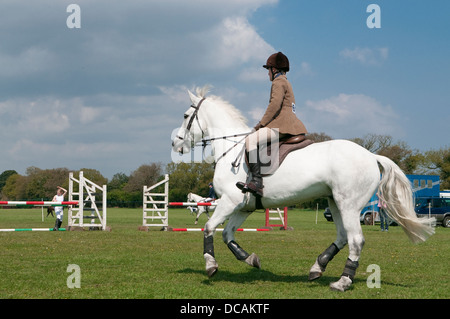 Giovani femmine rider durante il salto della concorrenza a Suffolk Horse Show. Ipswich Showgrounds, Suffolk, Regno Unito. Foto Stock