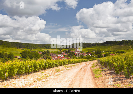 Vigneti Champagne al di sopra del villaggio di Viviers sur Artaut nella Côte des Bar area dell'Aube. Foto Stock