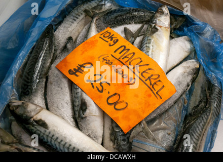 Sgombri freschi al Mercato del Pesce di Billingsgate, Isle of Dogs, London, England, Regno Unito Foto Stock