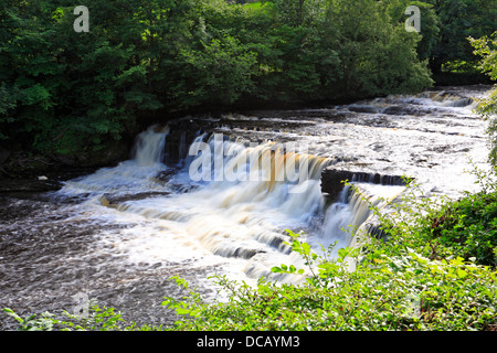 Medio Aysgarth Falls, Wensleydale, North Yorkshire, Yorkshire Dales National Park, England, Regno Unito Foto Stock