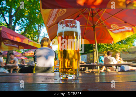 La pinta di birra ceca Riegrovy Sady parco giardino di birra Praga Repubblica Ceca Europa Foto Stock