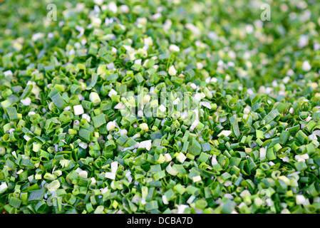 Pila fresco di porro tagliato a dadini cipolla Foto Stock