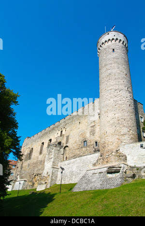 Pikk Hermann il Tall Hermann tower il colle Toompea Vanalinn old town Tallinn Estonia Paesi Baltici Europa Foto Stock