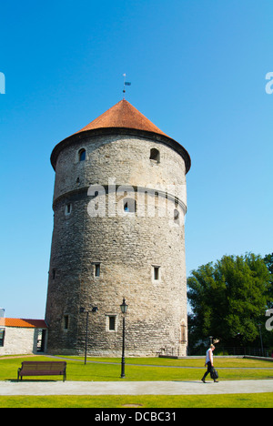 Kiek in de Kök Vanalinn torre old town Tallinn Estonia Paesi Baltici Europa Foto Stock