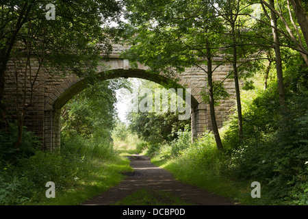 Il Trans Pennine trail per ciclisti, pedoni e cavalieri tra Ponte Dunford e Penistone, South Yorkshire Foto Stock