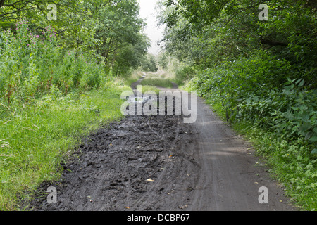 Il Trans Pennine trail per ciclisti, pedoni e cavalieri tra Ponte Dunford e Penistone, South Yorkshire Foto Stock