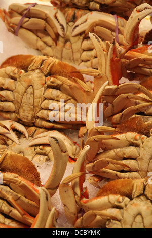 Dungeness crab su ghiaccio per la vendita al mercato. Foto Stock