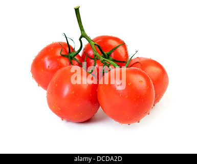 Pomodori freschi sul ramo, isolato su bianco Foto Stock