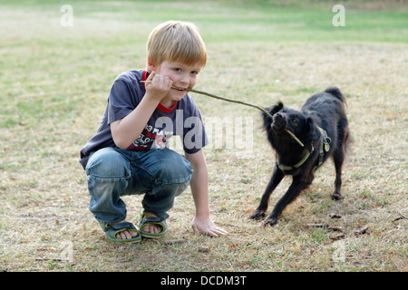 Cane cerca di tirare un bastone al di fuori di un giovane ragazzo in bocca Foto Stock