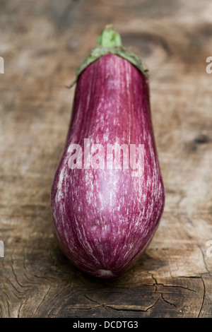 Solanum meongena. Aubergine Graffiti su una superficie in legno. Foto Stock