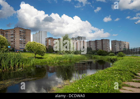 Il paesaggio urbano. Fiume canne e una riflessione di un alto edificio nell'acqua. L'estate. Foto Stock