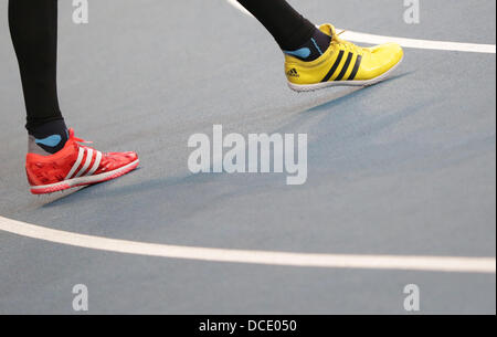 Mosca, Russia. Il 15 agosto, 2013. Bohdan Bondarenko dell'Ucraina compete agli Uomini Salto in alto finale in occasione della quattordicesima IAAF ai Campionati Mondiali di atletica di Luzhniki Stadium di Mosca, Russia, 15 agosto 2013. Foto: Michael Kappeler/dpa/Alamy Live News Foto Stock