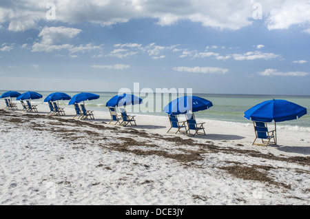 Stati Uniti d'America, Florida, Dunedin. Fila di sedie a sdraio sulla spiaggia, Caladesi Island State Park. Foto Stock