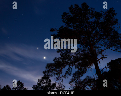 Twilight a R.O. Ranch in Mayo, Florida Foto Stock