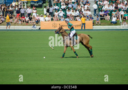 Gold Cup Polo, Cowdray Park Foto Stock