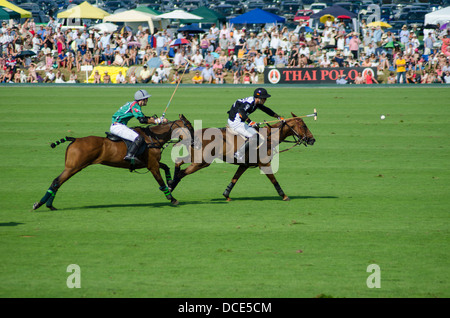 Gold Cup Polo, Cowdray Park Foto Stock