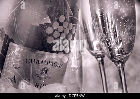 Bicchieri retro Champagne con bottiglia su ghiaccio che si raffredda in cristallo inciso refrigeratore vino di lusso in ambiente Alfresco B & W Foto Stock