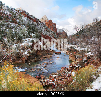 In inverno la neve sulle rive del fiume vergine, Parco Nazionale Zion, Utah, Stati Uniti d'America Foto Stock