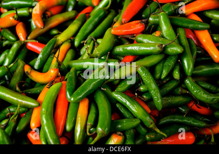 Immagine del peperoncino ancora vita molto colorato Foto Stock