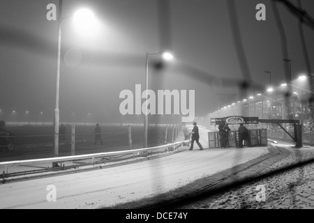 Il Greyhound Racing start line a Great Yarmouth cane via Foto Stock