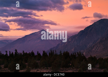 Nuvole all'alba sul Monte di Tom , Sierra orientale, California Foto Stock