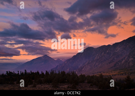 Nuvole all'alba sul Monte di Tom , Sierra orientale, California Foto Stock