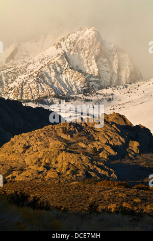 Tempesta di neve in montagna sopra la regione di latticello, Sierra orientale, California Foto Stock