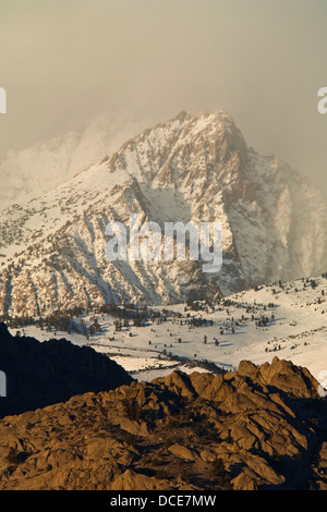 Tempesta di neve in montagna sopra la regione di latticello, Sierra orientale, California Foto Stock