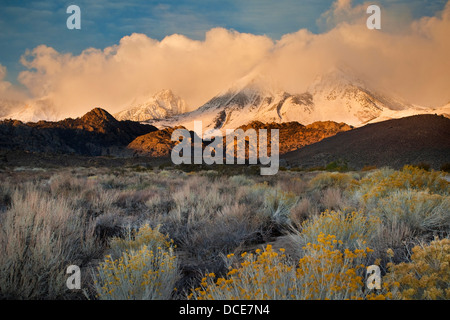 Tempesta di neve in montagna sopra la regione di latticello, Sierra orientale, California Foto Stock