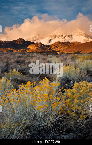 Tempesta di neve in montagna sopra la regione di latticello, Sierra orientale, California Foto Stock