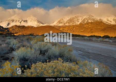 Tempesta di neve in montagna sopra la regione di latticello, Sierra orientale, California Foto Stock